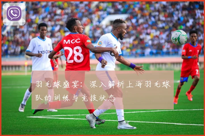羽毛球盛宴：深入解析上海羽毛球队的训练与竞技状态